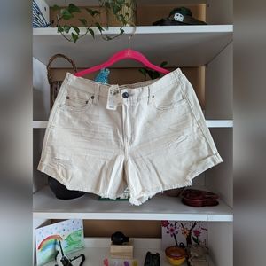 Aerie  Low Rise Daydream Denim Short